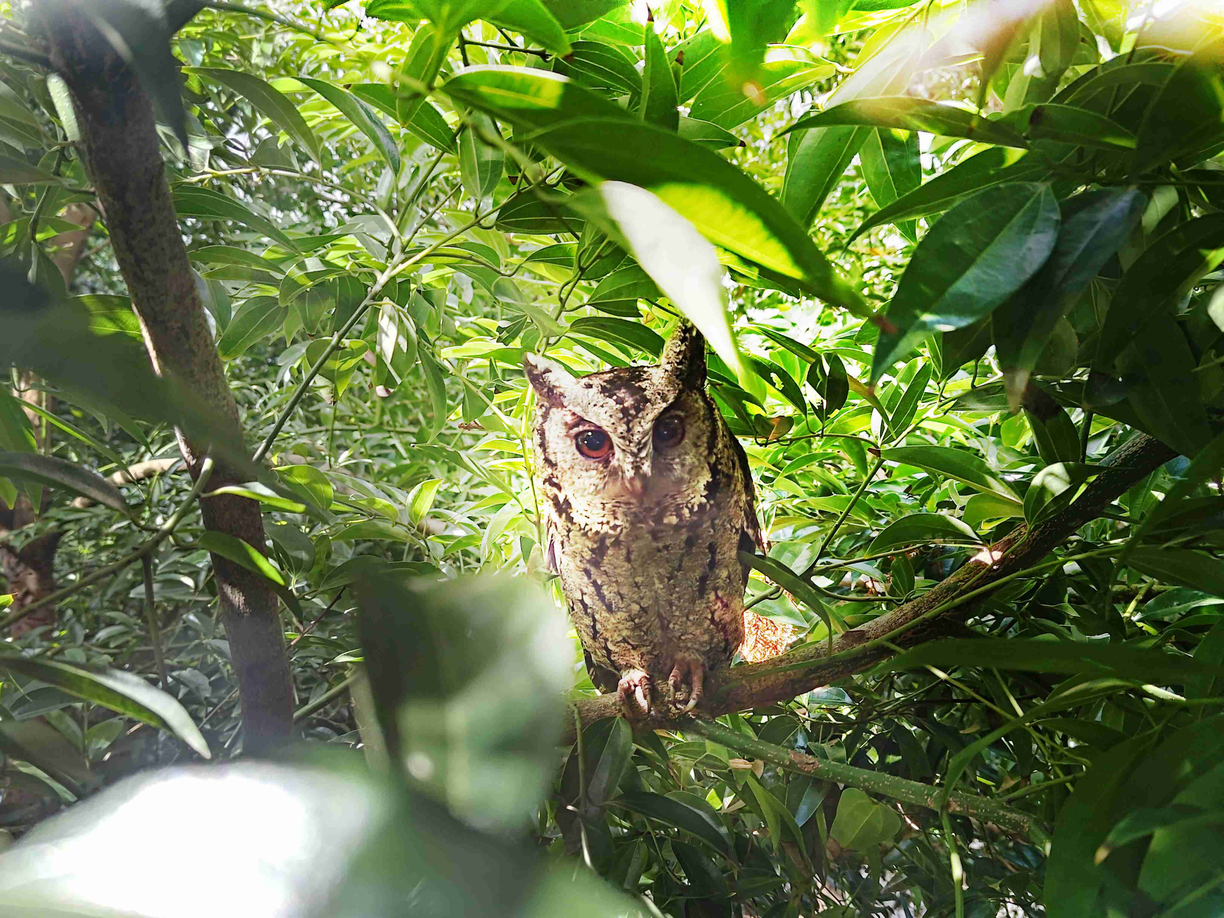 尊时凯龙致力提倡净零绿生活，，，，16年以来在全球各厂区植树逾百万棵，，造就各厂区树木蔚然成林，，，，犹如森林工厂，，成为许多生物的栖息地